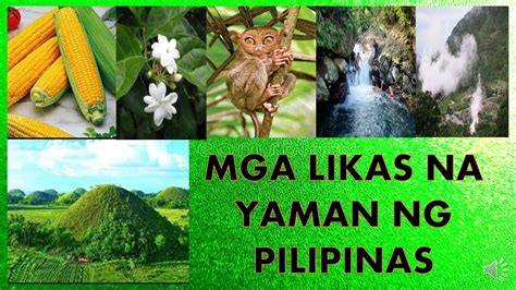 10 halimbawa ng likas na yaman|Mga Pangunahing Likas na Yaman .